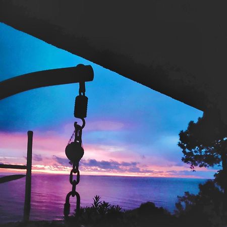 Studio Vue Sur Mer コンカ エクステリア 写真
