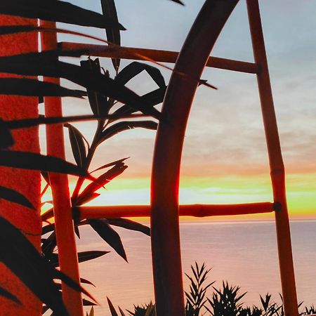 Studio Vue Sur Mer コンカ エクステリア 写真