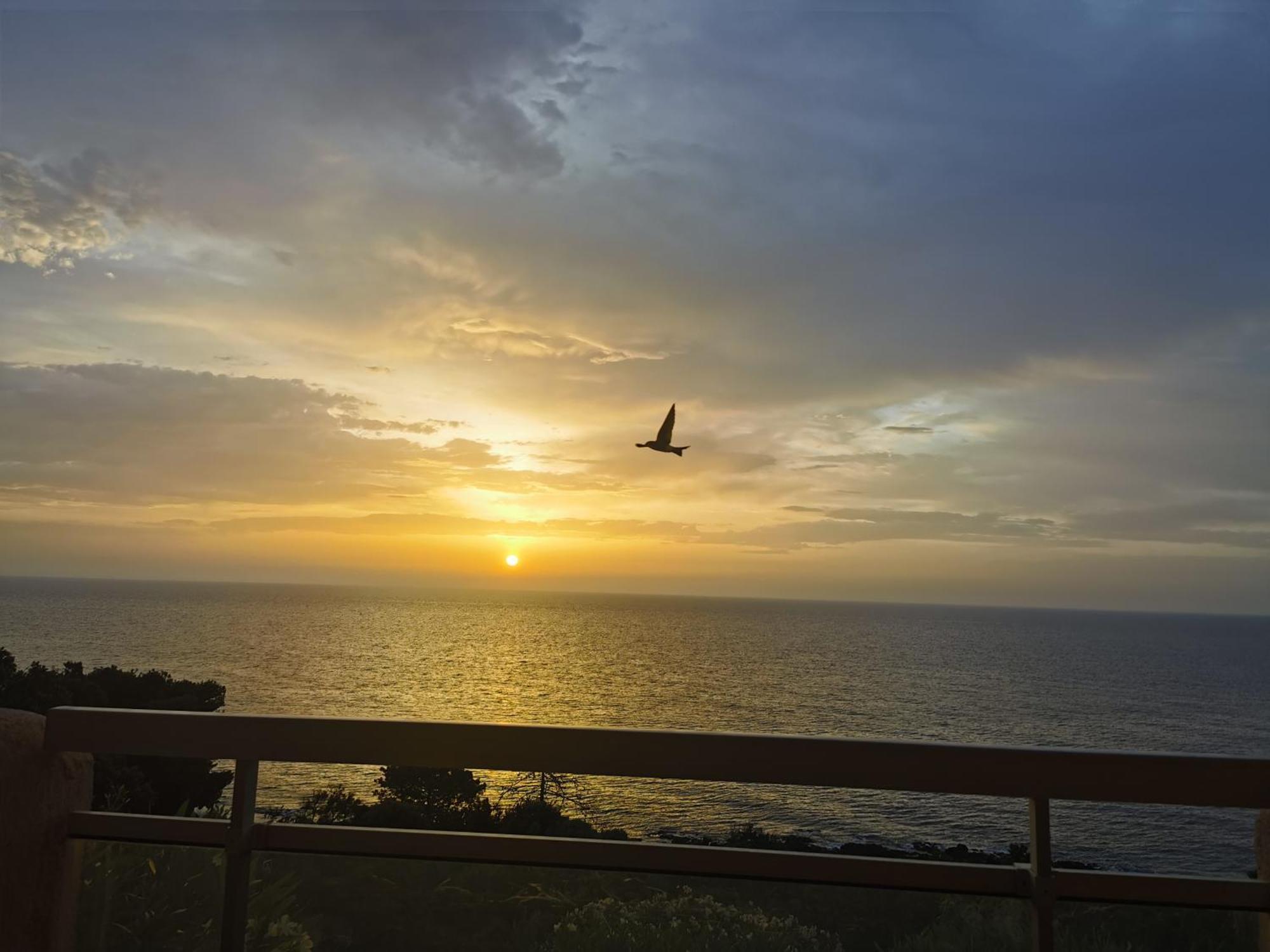 Studio Vue Sur Mer コンカ エクステリア 写真