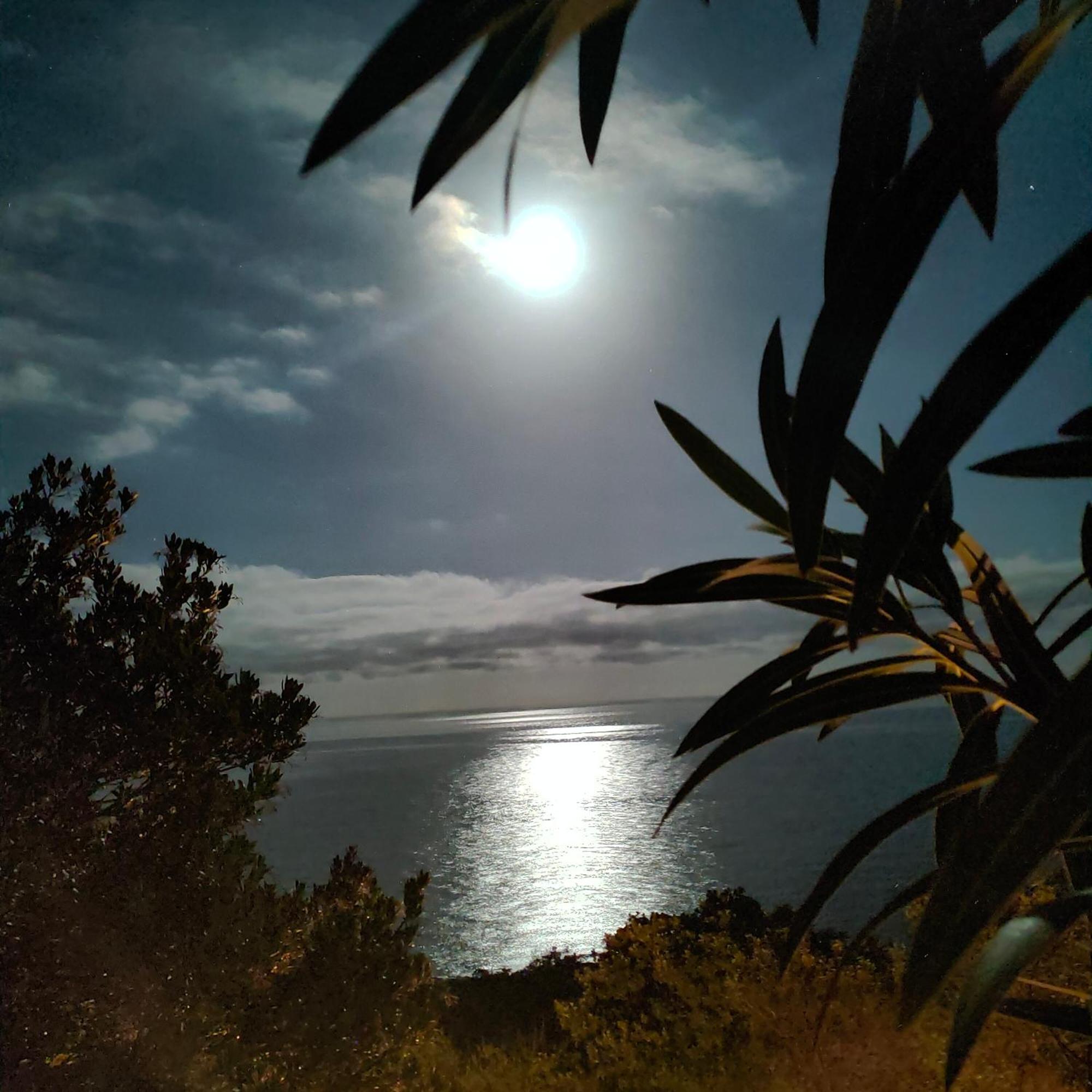 Studio Vue Sur Mer コンカ エクステリア 写真