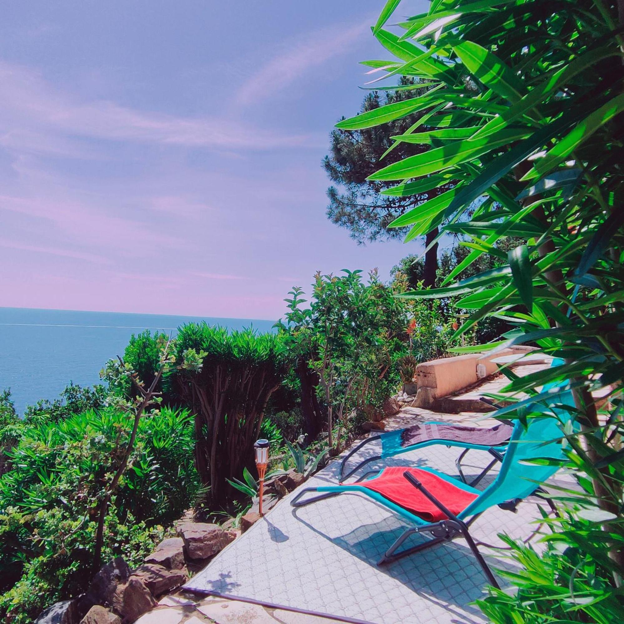 Studio Vue Sur Mer コンカ エクステリア 写真